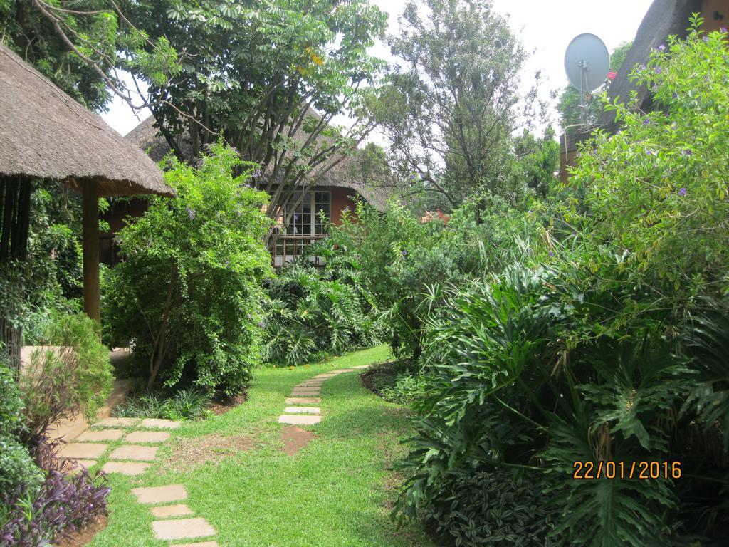 Pretoria-Noord 树顶黄柏宾馆酒店 外观 照片