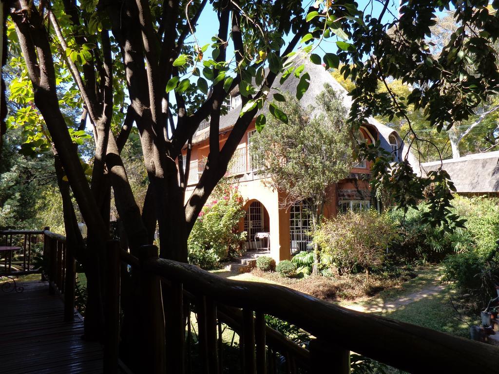Pretoria-Noord 树顶黄柏宾馆酒店 外观 照片