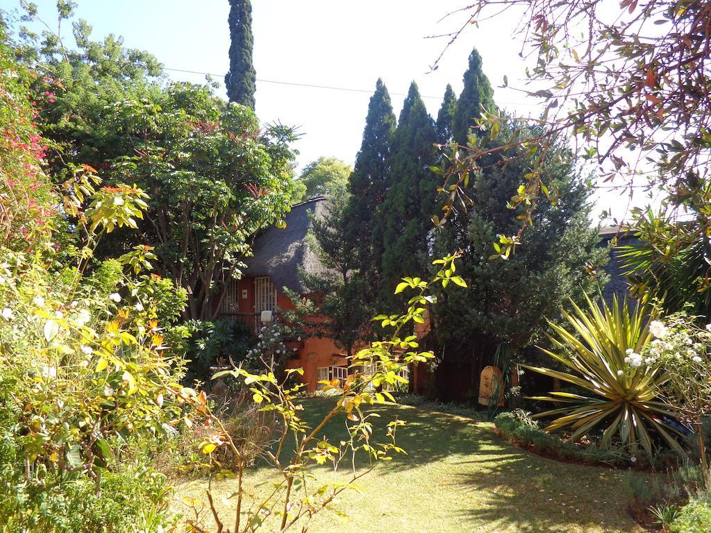 Pretoria-Noord 树顶黄柏宾馆酒店 外观 照片
