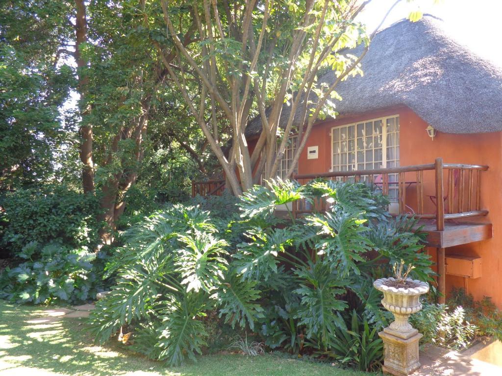 Pretoria-Noord 树顶黄柏宾馆酒店 外观 照片